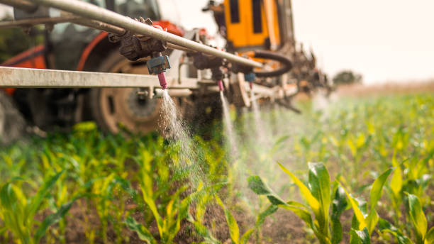 Professional Pest Control in Pea Ridge, WV
